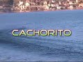 prova di 4 barche rc 26 cc zenoah