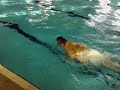Khaled Shalaby : One Arm is More Than Enough .mov