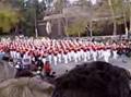 Rose Parade 2008 Clip 13-20
