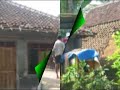 tolong dengar tuhan tolong dengar tuhan
