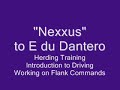 Belgian Malinois - Herding Training Session Part 1