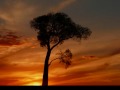Waiting for the Lord - a touching New Gospel Ballad by Lorenz Maierhofer