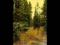 First Greening: Denali Taiga and Tundra