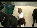 Owen Crawls!