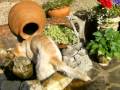 Italian Spinone - how not to drink water