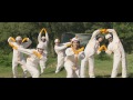 Video La Pegatina - Una Mirada (feat. Ska-P) Video La Pegatina - Una Mirada (feat. Ska-P)