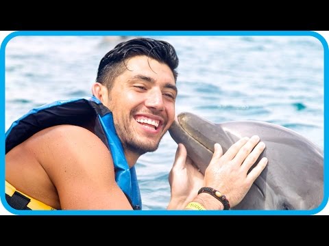 YoMuscleBoii Swimming with Dolphins in Mexico - Royal Caribbean Adventure