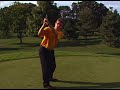 Golf Tip: Backswing: Arm Movement; Steven Bann