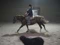 **** PLEASE READ BEFORE WATCHING THANK YOU!This is my 7 year old AQHA registered sorrel western pleasure mare, Daisy Mae Investment. I've been loping Daisy off and on through out the time I've had her but lately I've been working on it. It's not the best especially at the end because I try to swap leads, as u can see I'm not doing it correctly I guess? She knows how to do it. But w.e.I dont need to be critiqued. I have people who know a lot about western pleasure and can help me out but I was riding by myself that night so...yea. and please ignore my mom she can't see when Daisy is on the right lead ornot, she keeps looking throught the camera instead of right at her so please ignore her. thank you.and a special thanks to a young man that has been helping out a lot with her. he knows who he is :)