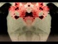 Bubonic Plague Dracula