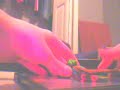 Random Adventures of Random People,Ep.3:Down In The Dumps Random Adventures of Random People,Ep.3:Down In The Dumps
