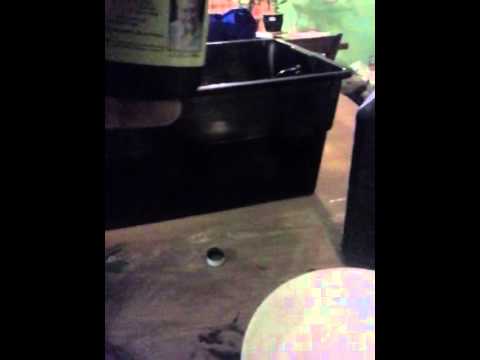 how to transplant from soil to hydro