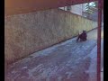 Discesa _  Skateboard- NicoCorrales