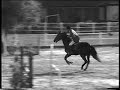 CSO épreuve 1.20m (1) CSO épreuve 1.20m (1)