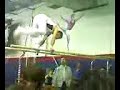 joe on parallel bars