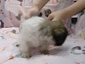 CIMG0544.AVI