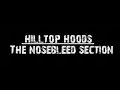hilltop hoods - the nosebleed section