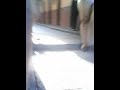 en la 18 de guayaquil-la CHICA  mas famosa  en hilo_NEW.avi
