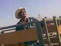el papalote