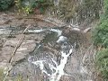 ここは島根県邑智郡川本町の断魚溪です。 名前のごとく、川魚さえも、ここで止められてしまう？ 木々の紅葉と、 川の流れの音をお聞きください。 ザ～ザ～聞こえるのはノイズではありません。 川の流れの音です。 すごい量の水の量と思います。 2方向から撮影しました。 一部車の音が聞こえ増すがお許しください。 では、どうぞ。 ps ブログでは写真と動画でご紹介します。 お見逃しなく。 blog.u-ai.shop-pro.jp
