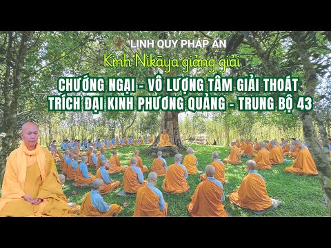 NIKAYA Giảng Giải - Chướng Ngại - Vô Lượng Tâm Giải Thoát -Trích Đại Kinh Phương Quảng - Trung Bộ 43 NIKAYA Giảng Giải - Chướng Ngại - Vô Lượng Tâm Giải Thoát -Trích Đại Kinh Phương Quảng - Trung Bộ 43