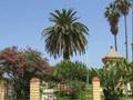 cherchell sidi braham el robrini moul elmqam fi cherchell