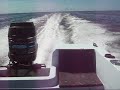 Wake