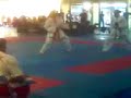 karate wkf mexico