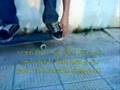 Amin Rida's 360 Flip trick tip