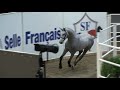Tobago Chevrier