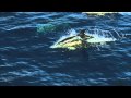 Edward Maya - This Is My Life (Music Video)