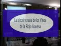 La idiosincrasia de los vinos de la Rioja Alavesa 