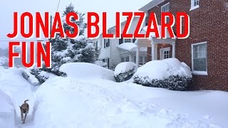 The Jonas Blizzard