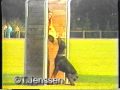 Dobermann. Nicolai V Klosterkamp SchH111 Angekoert ZVA