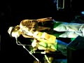 pablo moro-albumes de fotos-