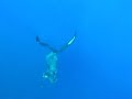 Free dive to -30m Free dive to -30m