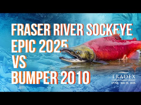 3MMI - 2025 Fraser River Sockeye Triples Forecast: How Does It Compare to 2010’s Benchmark Year
