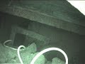 Bunker