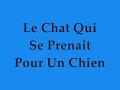 Panthere tours.wmv