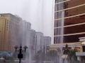 wynn