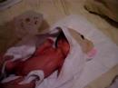 MI PRIMER BA�O con Pap� y Mam�