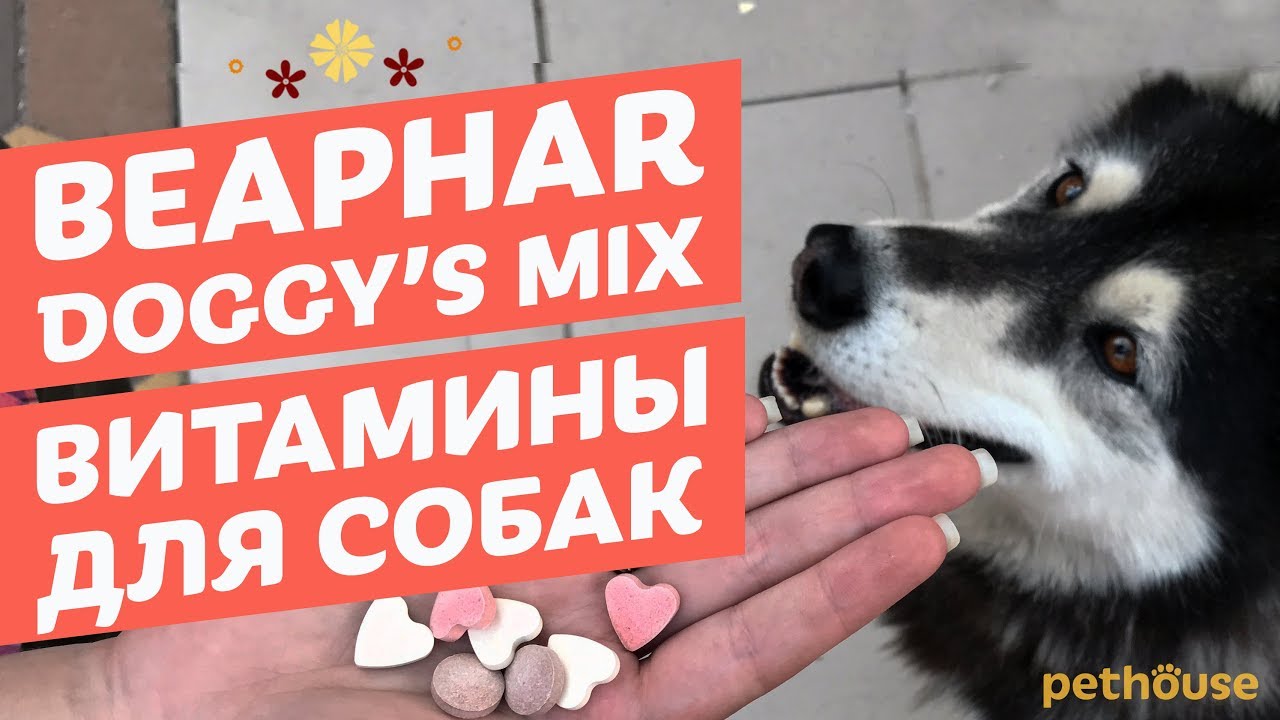 Beaphar Doggy