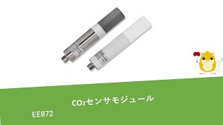 紹介動画