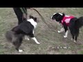 Click here to watch this video NDA 東扇島 サスケ&J