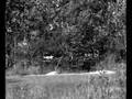 2er Skateboarding Hannover