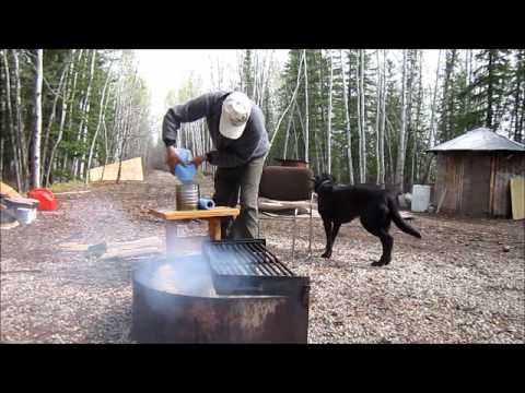 how to harvest birch syrup