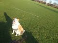 See video