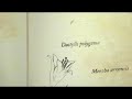 Un clip réalisé par Olivier Martin. Extrait de l'album 