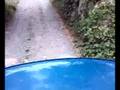 videos de ape k attraversa fiume!!!