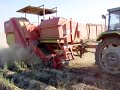 Harvesting potatoes (3)
